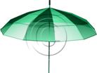 Download umbrellatop green PowerPoint Graphic and other software plugins for Microsoft PowerPoint