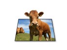PowerPoint Image - 3D Cow Square