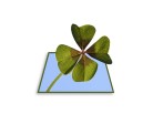 PowerPoint Image - 3D Four Leaf Clover Square