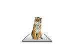 PowerPoint Image - 3D Tiger Sitting Square
