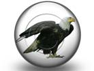Download bald eagle s PowerPoint Icon and other software plugins for Microsoft PowerPoint
