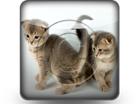 Download sth kittens b PowerPoint Icon and other software plugins for Microsoft PowerPoint