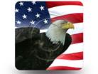 Freedom Eagle Square PPT PowerPoint Image Picture