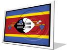Download swaziland flag f PowerPoint Icon and other software plugins for Microsoft PowerPoint