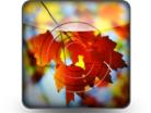 Download autumn b PowerPoint Icon and other software plugins for Microsoft PowerPoint