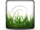 Download lawn care b PowerPoint Icon and other software plugins for Microsoft PowerPoint