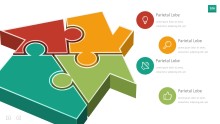 PowerPoint Infographic - InfoGraphic 106 Multi