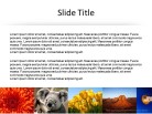 Banner Horizontal Sm 1 PPT PowerPoint presentation slide layout