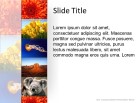 Banner Vertical Lg PPT PowerPoint presentation slide layout