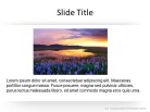 Photo Pinch PPT PowerPoint presentation slide layout