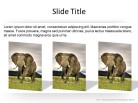 Photo Squares 3 c PPT PowerPoint presentation slide layout