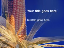 Download corn PowerPoint Template and other software plugins for Microsoft PowerPoint