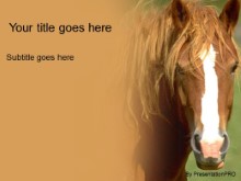 Download horse PowerPoint Template and other software plugins for Microsoft PowerPoint