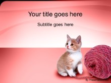 Download kitten PowerPoint Template and other software plugins for Microsoft PowerPoint