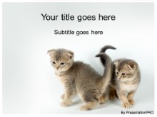 Download kitty kitty PowerPoint Template and other software plugins for Microsoft PowerPoint