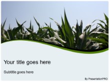 Download summer corn crop PowerPoint Template and other software plugins for Microsoft PowerPoint