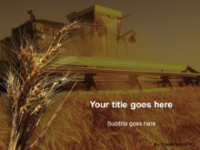 Download wheat PowerPoint Template and other software plugins for Microsoft PowerPoint