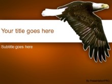 PowerPoint Templates - Soaring Eagle