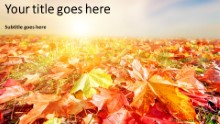 Autumn Landscape Widescreen PPT PowerPoint Template Background