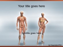 Download anatomy PowerPoint Template and other software plugins for Microsoft PowerPoint