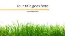 Grassy Widescreen PPT PowerPoint Template Background