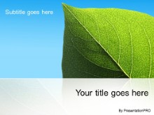 Download isolated leaf PowerPoint Template and other software plugins for Microsoft PowerPoint