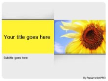 Download summer season PowerPoint Template and other software plugins for Microsoft PowerPoint