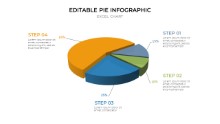 Editable Data Pie 33