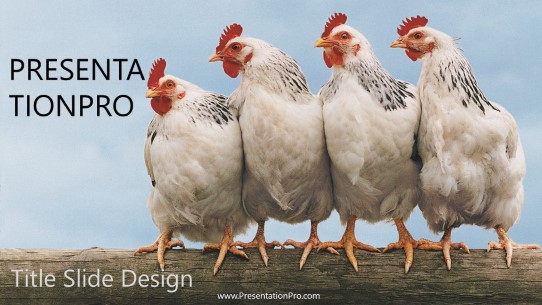 4 Chickens Widescreen PowerPoint Template title slide design
