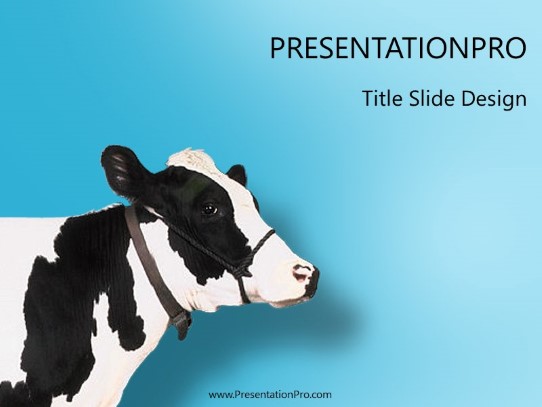 Cow PowerPoint template - PresentationPro