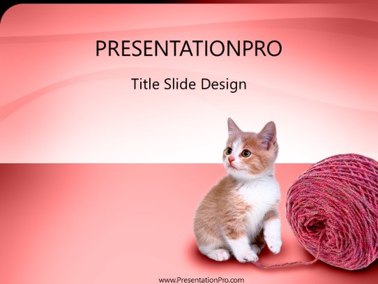 Kitten PowerPoint Template title slide design