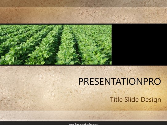 Soybean Patch PowerPoint template - PresentationPro