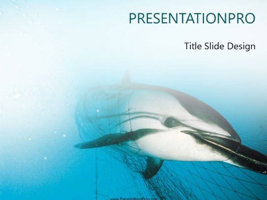 Captured Dolphin PowerPoint Template title slide design