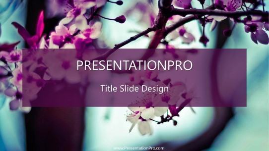 Cherry Blossoms 01 Widescreen PowerPoint Template title slide design
