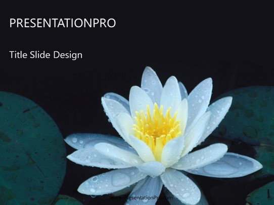 Lotus PowerPoint Template title slide design