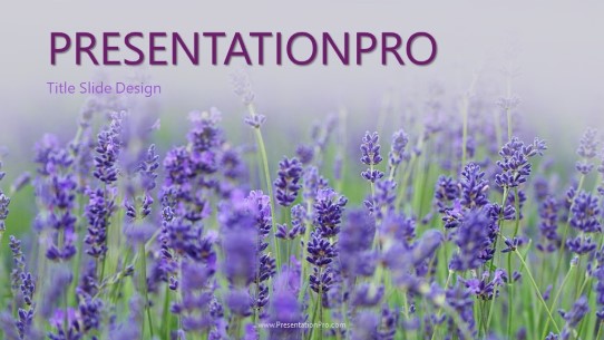 Purple Fields Widescreen PowerPoint Template title slide design