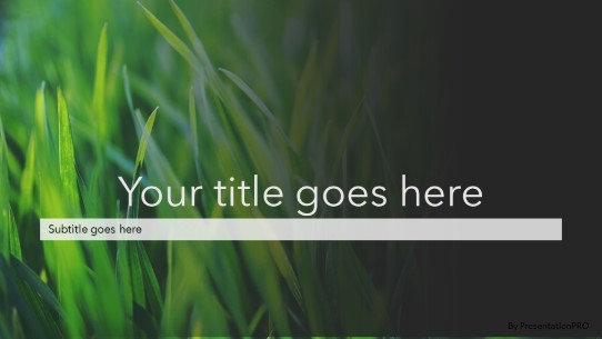Tall Grass PowerPoint Template title slide design