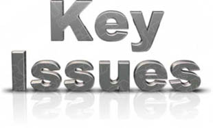 Download key issuess PowerPoint Graphic and other software plugins for Microsoft PowerPoint