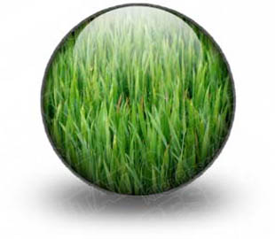 Download green grass s PowerPoint Icon and other software plugins for Microsoft PowerPoint