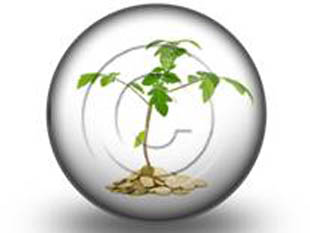 Money Plant Circle PPT PowerPoint Image Picture