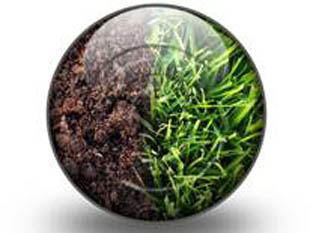 Grass And Soil S PPT PowerPoint Image Picture