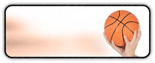 Download basketball h PowerPoint Icon and other software plugins for Microsoft PowerPoint
