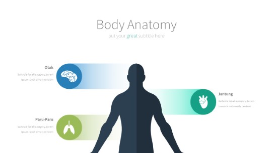 057 Body Anatomy PowerPoint Infographic pptx design