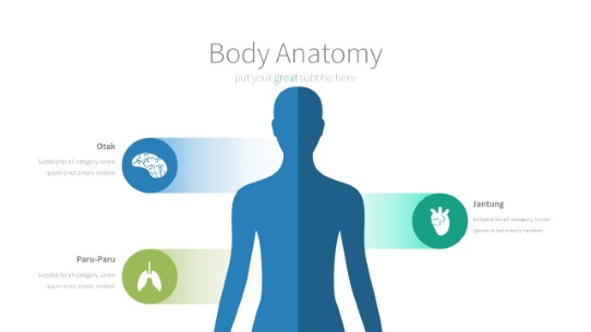059 Body Anatomy PowerPoint Infographic pptx design