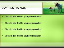Cattle Graze Green PowerPoint Template text slide design
