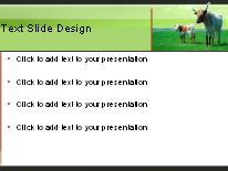 Cattle Graze Green PowerPoint Template text slide design