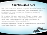 Dolphin Tricks PowerPoint Template text slide design